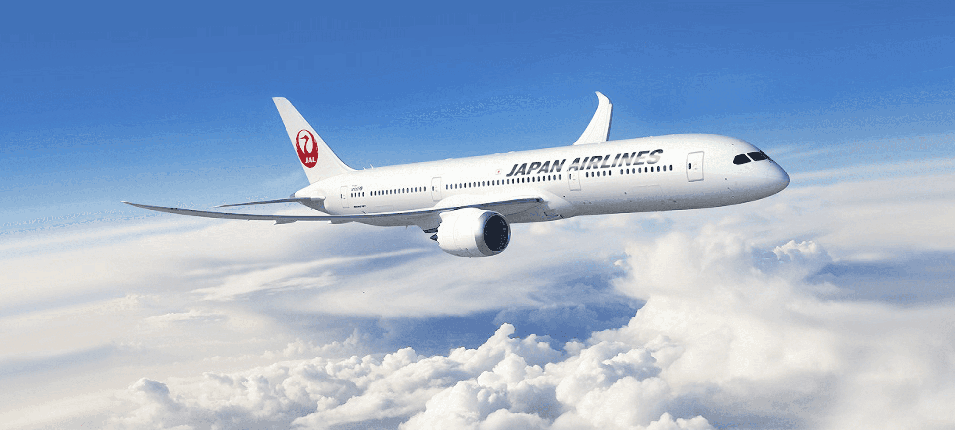 Cover image from Japan Airlines chooses AVIAREPS as its Commercial Representative in Italy 